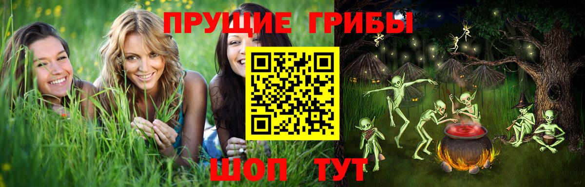 Псилоцибиновые грибы Psilocybe  Псилоцибиновые грибы Psilocybine cubensis  сколько стоит  Рузаевка  Вход с VPN 